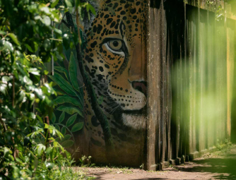 Parque Nacional Tortuguero